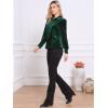 imageAllegra K Vintage Velvet Tops for Women Dressy Casual Long Sleeve Button Down Shirt BlouseGreen
