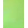 imageAllegra K Metallic Crop Top for Womens Sleeveless Cut Out Party Clubwear Holographic Tank TopsShiny Green