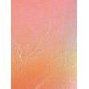 imageAllegra K Metallic Crop Top for Womens Sleeveless Cut Out Party Clubwear Holographic Tank TopsShiny Orange