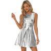 Shiny Silver Shiny Silver