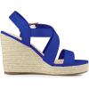 imageAllegra K Womens Espadrilles Platform Slingback Wedges SandalsDeep Blue