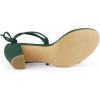 imageAllegra K Womens Clear Strap Block Heels Lace Up Heels SandalsDark Green