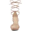 imageAllegra K Womens Platform Stiletto Heels Lace Up SandalsNude