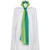 imageuxcell Long Chiffon Lightweight Sheer Wedding Scarf Silky Gradient Color Party Shawl Spring Summer Beach Wrap for WomenDark Light Green