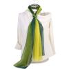 imageuxcell Long Chiffon Lightweight Sheer Wedding Scarf Silky Gradient Color Party Shawl Spring Summer Beach Wrap for WomenGreen