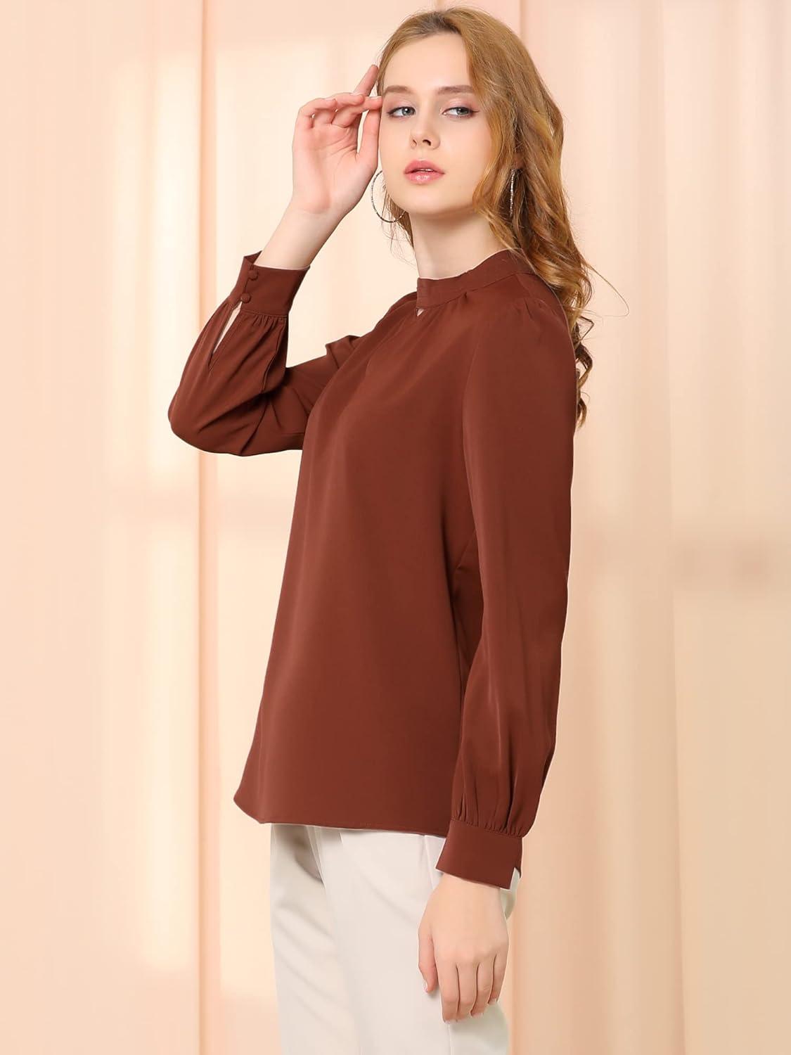 imageAllegra K Womens Work Tops Dressy Casual Shirts Mock Neck Keyhole Business Casual Long Sleeve BlouseBrown