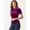imageAllegra K Halloween Ruffle Collar Shirt for Womens Short Sleeve Casual Velvet Tops BlousePurple