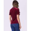 imageAllegra K Halloween Ruffle Collar Shirt for Womens Short Sleeve Casual Velvet Tops BlouseWine Red