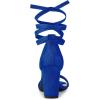 imageAllegra K Womens Lace Up and Ankle Strap Chunky Heel SandalsDeep Blue