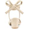 imageAllegra K Womens Open Toe Ankle Tie Back Block Heels SandalsBeige