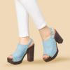 imageAllegra K Womens Open Toe Slingback Platform Chunky Heels SandalsSky Blue