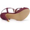 imageAllegra K Womens T Strap Slingback Platform Stiletto Heel SandalsBurgundy