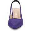 imageAllegra K Womens Pointed Toe Block Heel Pumps Slingback HeelsPurple
