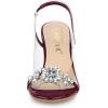 imageAllegra K Womens Clear Slingback Flower Rhinestone Peep Toe Heels SandalsBurgundy