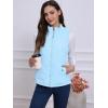 imageAllegra K Womens Puffer Vest Stand Collar Lightweight Gilet Quilted Zip VestBaby Blue