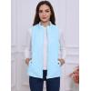 imageAllegra K Womens Puffer Vest Stand Collar Lightweight Gilet Quilted Zip VestBaby Blue
