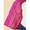 imageAllegra K Womens Puffer Vest Stand Collar Lightweight Gilet Quilted Zip VestFuchsia