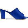 imageAllegra K Womens Slip on Block Heel Slide SandalsBlue