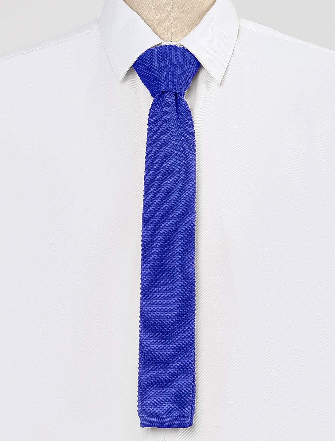 imageAllegra K Mens SelfTied Solid Color Skinny Flat Tips Designed Knit TiesRoyal Blue