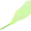 imageAllegra K 2 Pairs Flat Snow Yarn Shoelaces 25cm4cm Wide Transparent Shoe Laces for SneakersLight Green