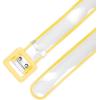 imageAllegra K Womens Clear Waist Belts Plus Size Skinny Belt Waistband for Jeans Dresses CoatsYellow