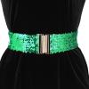 imageAllegra K Womens Wide Waist Belts Interlock Buckles Sequins Decor Shinny Stretchy Belts 2PCSGreen