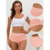 imageAllegra K Womens Cotton Underwear HighRise Lace Trim Tummy Control Full Coverage BriefPink