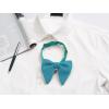 imageAllegra K Solid Pretied Bow Ties for Women Men Formal Party Prom Bowties VelvetTurquoise