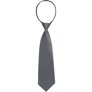 imageAllegra K Mens PreTied Zipper Tie Solid Color Formal Casual Adjustable 8cm Wide TieGray