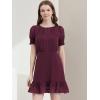 imageAllegra K Womens Elegant Short Sheer Sleeve Ruffle Hem Swiss Dots Chiffon DressWine