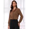 imageAllegra K Womens Dressy Long Sleeve Blouses Chiffon Pleated Tie Neck Office Top ShirtCoffee