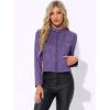 imageAllegra K Womens Faux Suede Jacket Stand Collar Zip Up Long Sleeve Motorcycle Biker CoatDark Purple