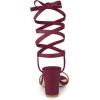 imageAllegra K Womens Lace Up Chunky Heels SandalsBurgundy