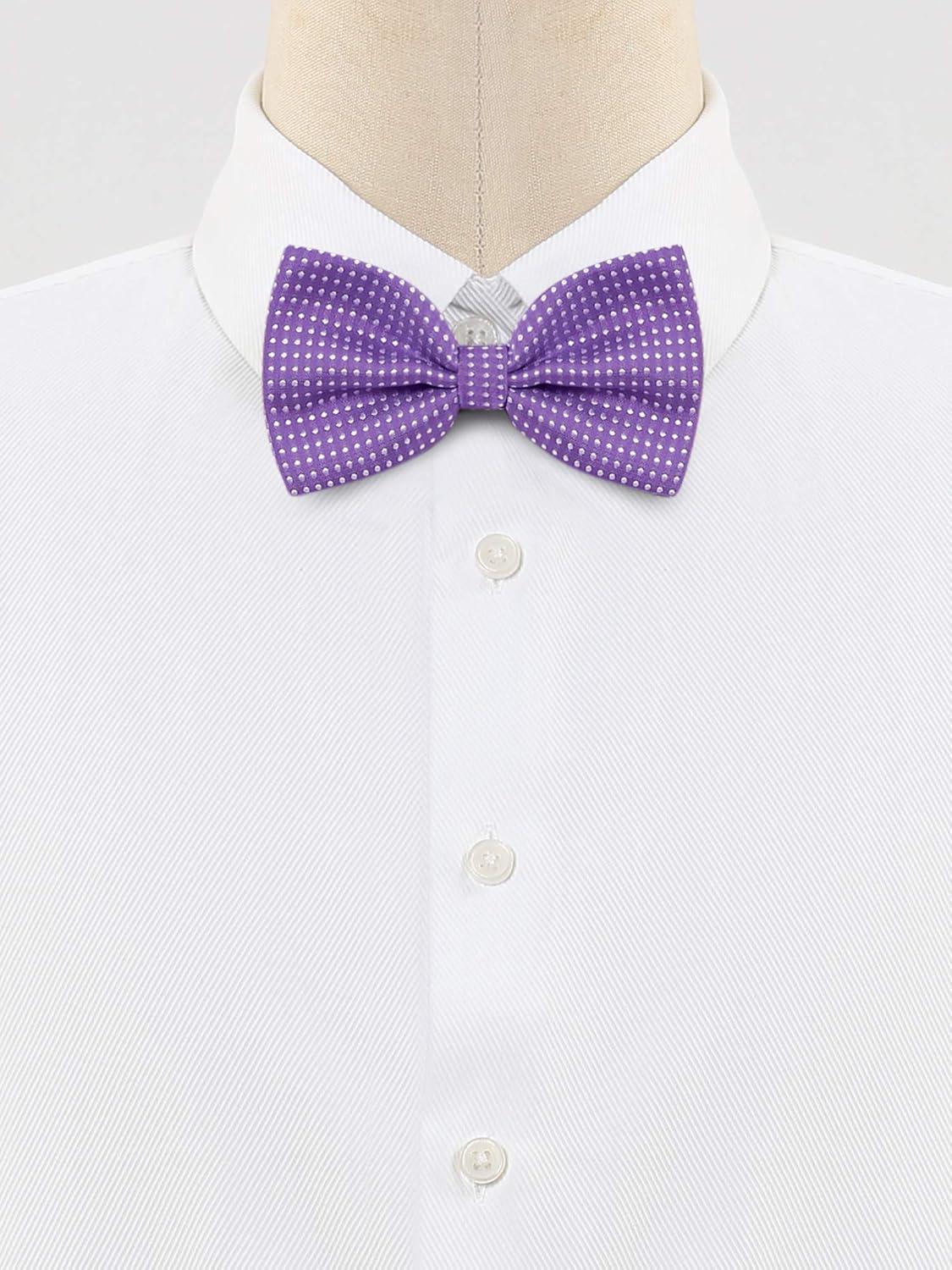 imageAllegra K Mens Polka Dots PreTied Bowknot Bow Ties Work Formal Party Tuxedo BowtiesPurple