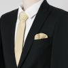 imageAllegra K Necktie PreTied Bowtie and Pocket Square Set Ties for Wedding BusinessChampagne