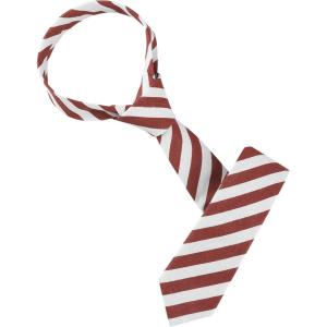 imageAllegra K Mens Stripe Necktie SelfTied Linen Slim Ties for Business CasualRed