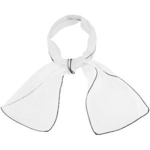 imageAllegra K Women Transparent Skinny Organza Scarf Solid Color Lightweight NeckerchiefWhite