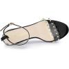 imageAllegra K Womens Clear Block Heel Ankle Strap Heeled SandalsBlack