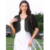 imageAllegra K Chiffon Bolero Shrug for Womens Open Front Ruffle Short Sleeve Cropped Cardigan for Evening DressBlack