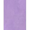 imageAllegra K Womens Faux Suede Dress Western Long Sleeve Fall ALine Mini Dresses Cowgirl OutfitPurple