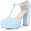 imageAllegra K Womens Platform Chunky Heel Mary Janes Pumps Retro TStrap Round Toe Ankle Strap Dress Heels PumpLight Blue