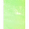 image:imageAllegra K Womens Holographic Party Shimmering Shiny Lightweight Zipper Hooded Metallic JacketFluorescent Green