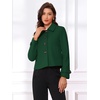 image:imageAllegra K Womens Turn Down Collar Single Breasted Outwear Winter Pea CoatDark Green