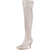 image:imageAllegra K Womens Glitter Stiletto Heel Over the Knee Thigh High BootLight Pink